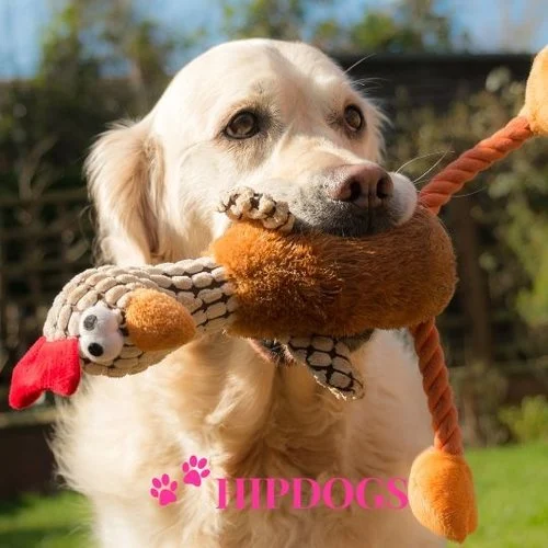 speelgoed grote hond